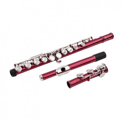 16 Closed Holes C Key Model Flute for Student Beginner School Band Using   570653848
